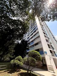 Blk 106 Spottiswoode Park Road (Bukit Merah), HDB 5 Rooms #586530281